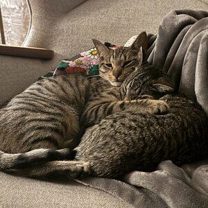 Thanks for dropping by, here's a little about me-- (updated 12/2025)